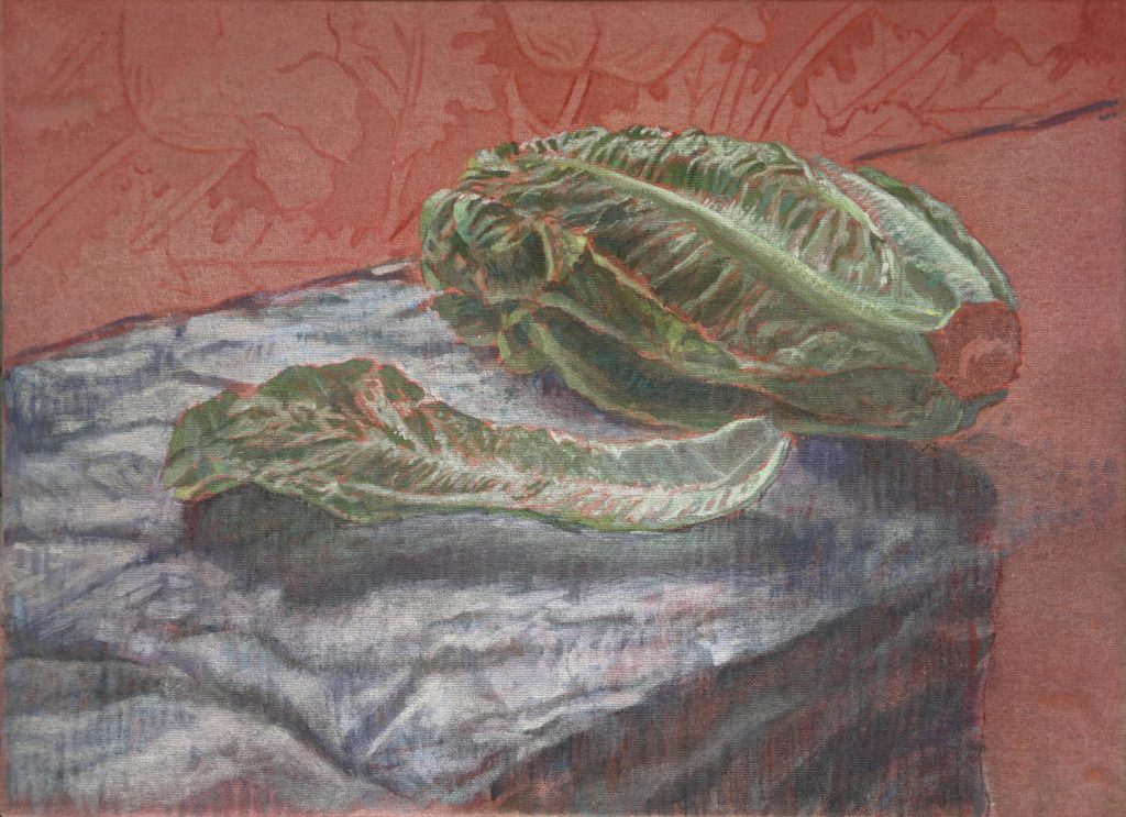 Hoja de lechuga y cogollo sobre un papel-Juan Vaquerizo
