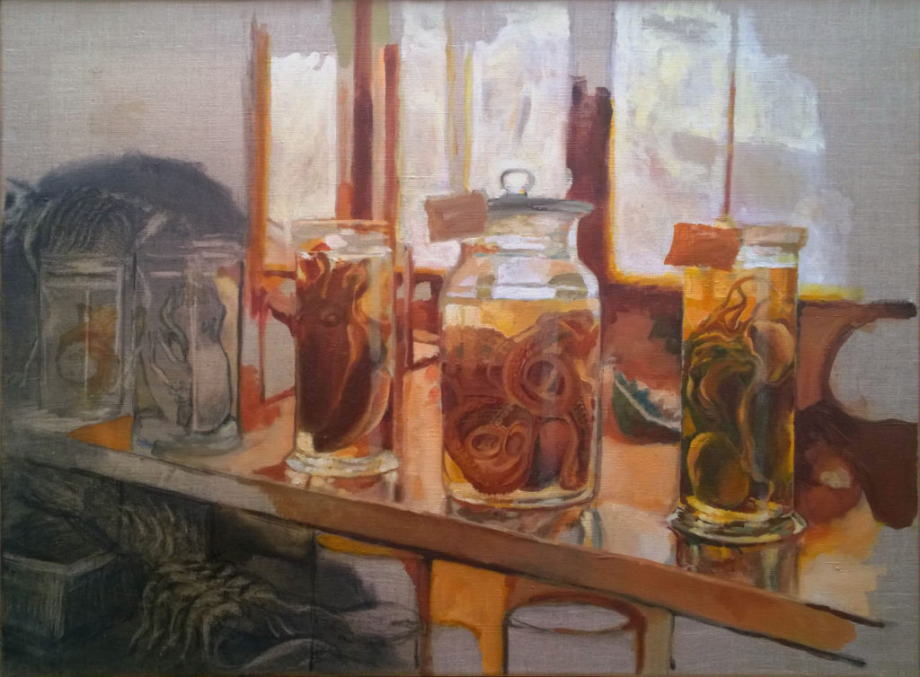 octopodos-en-formol-juan-vaquerizo
